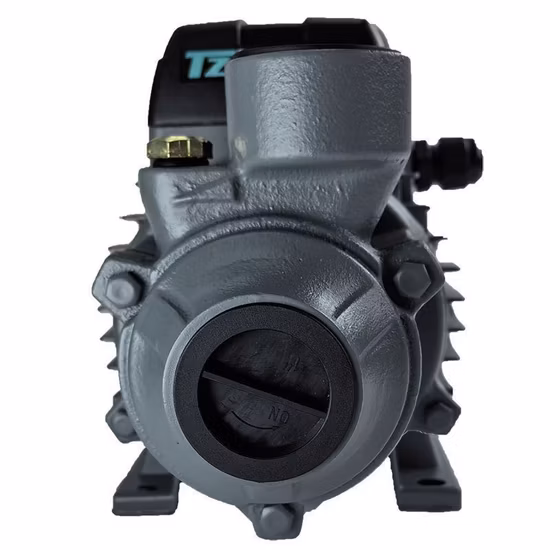 Qb Series Peripheral Pump, Vortex Pump, Garden Pump, Surface Pump