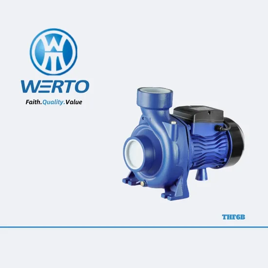 Water Pump Thf6b Surface Pump Mass Flow Centrifugal Pump 