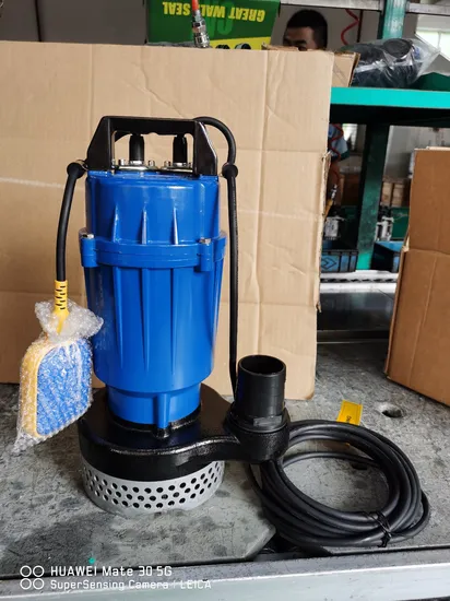 High Efficiency Stainless Steel Submersible Garden Pond Water Fountain Pump Swimming Pool Pump 