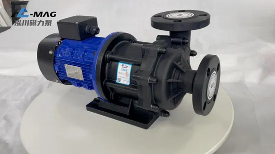 Salt Water & Rinse Water Variable Frequency Magnetic Drive Circulating Pump 
