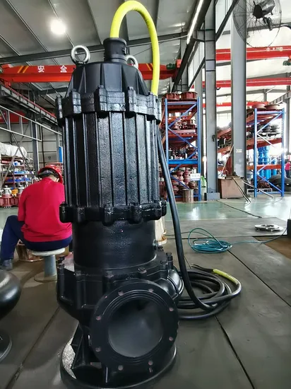 Wq Qw Submerged Underground Water Fecal Pump Sewage Waste Dirty Water Submersible Water Pump 