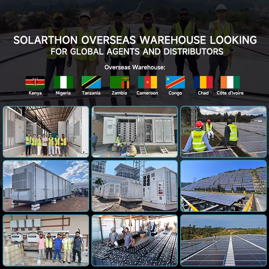 MPPT Hybrid Inverter Quality Gaurantee 30A Solar Charge Controller